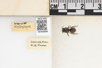 Media type: image;   Entomology 769694 Aspect: Labels
